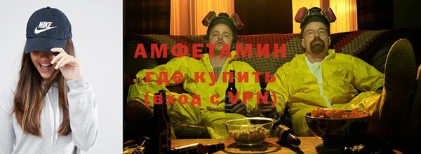 прущие грибы Балахна