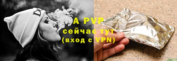 крисы Баксан