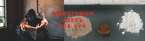 крисы Баксан