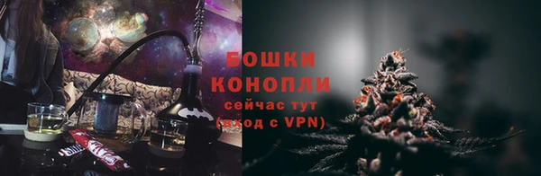 крисы Баксан
