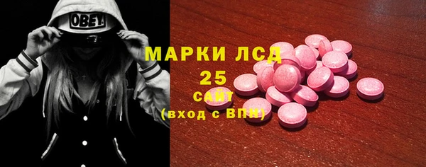 гашик Ладушкин