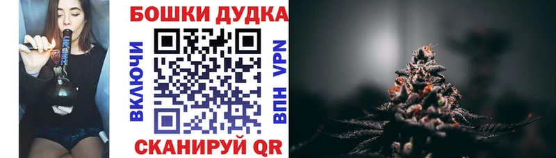 Канабис планчик  shop официальный сайт  Сегежа  где продают наркотики 